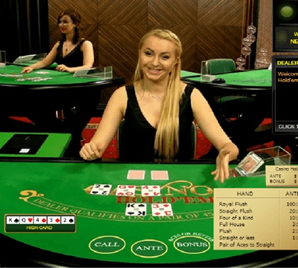 Miami Dice Live Dealer Screenshot 3